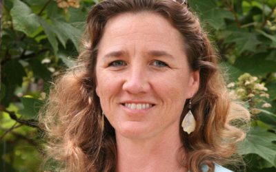 CICR Director Transition