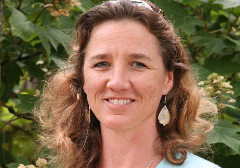 CICR Director Transition