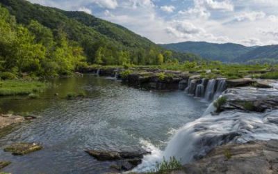 Dr. David Leigh: Distinctive connectivities of near-stream and watershed-wide land uses differentially degrade rural aquatic systems