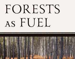 Forests as Fuel: A New Book by Sarah Hitchner, John Schelhas, and J. Peter Brosius