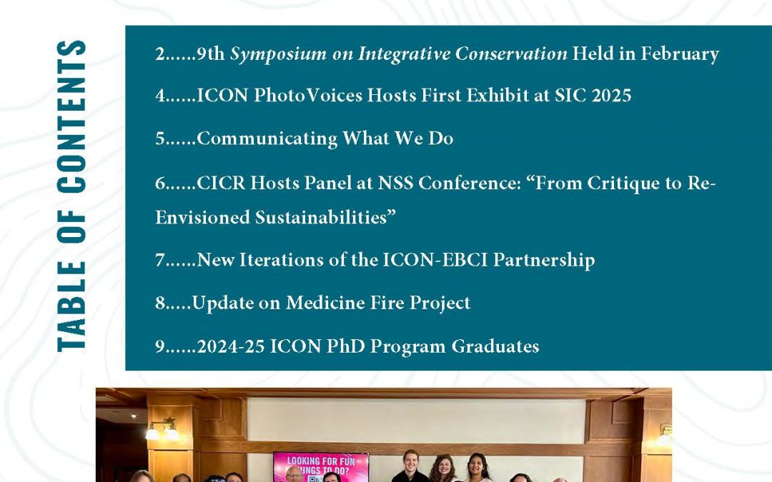 CICR Newsletter – Summer 2025